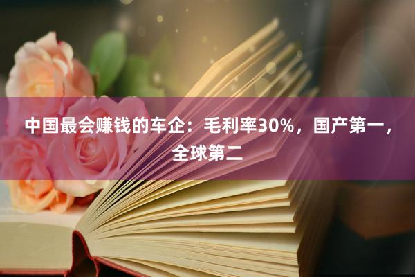 中国最会赚钱的车企：毛利率30%，国产第一，全球第二