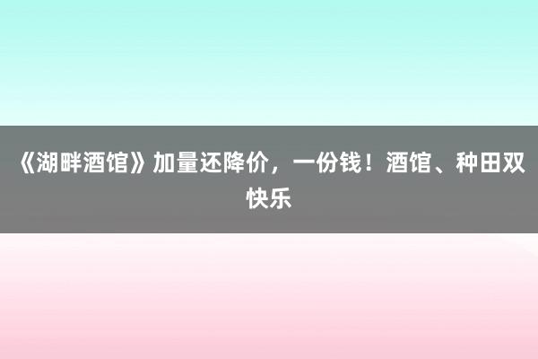 《湖畔酒馆》加量还降价，一份钱！酒馆、种田双快乐