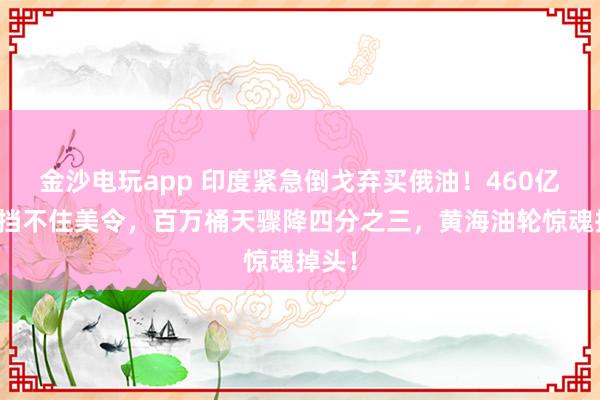 金沙电玩app 印度紧急倒戈弃买俄油！460亿逆差挡不住美令，百万桶天骤降四分之三，黄海油轮惊魂掉头！