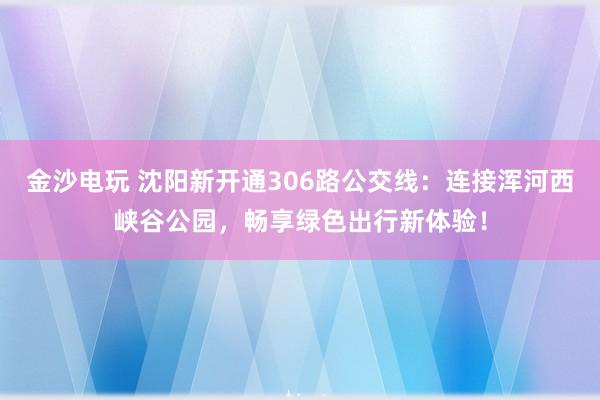 金沙电玩 沈阳新开通306路公交线：连接浑河西峡谷公园，畅享绿色出行新体验！
