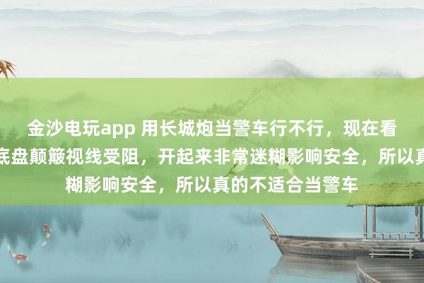 金沙电玩app 用长城炮当警车行不行，现在看根本不行，因为底盘颠簸视线受阻，开起来非常迷糊影响安全，所以真的不适合当警车