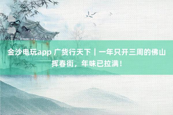 金沙电玩app 广货行天下｜一年只开三周的佛山挥春街，年味已拉满！