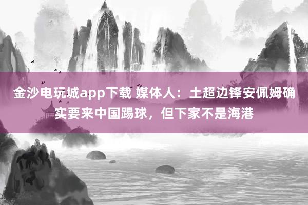 金沙电玩城app下载 媒体人：土超边锋安佩姆确实要来中国踢球，但下家不是海港