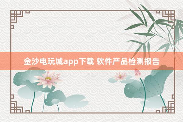 金沙电玩城app下载 软件产品检测报告