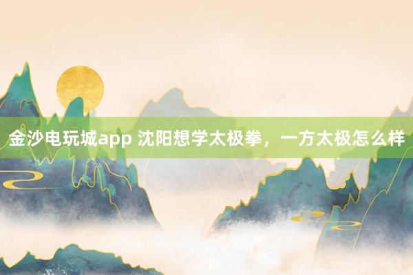 金沙电玩城app 沈阳想学太极拳，一方太极怎么样