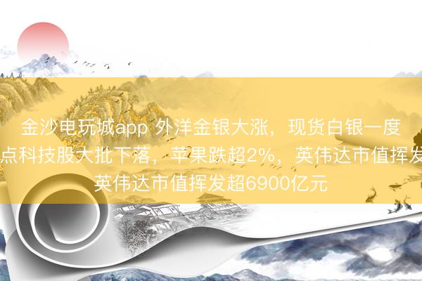金沙电玩城app 外洋金银大涨，现货白银一度涨超5%！热点科技股大批下落，苹果跌超2%，英伟达市值挥发超6900亿元