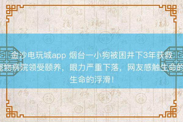 金沙电玩城app 烟台一小狗被困井下3年获救正在宠物病院领受颐养，眼力严重下落，网友感触生命的浮滑！